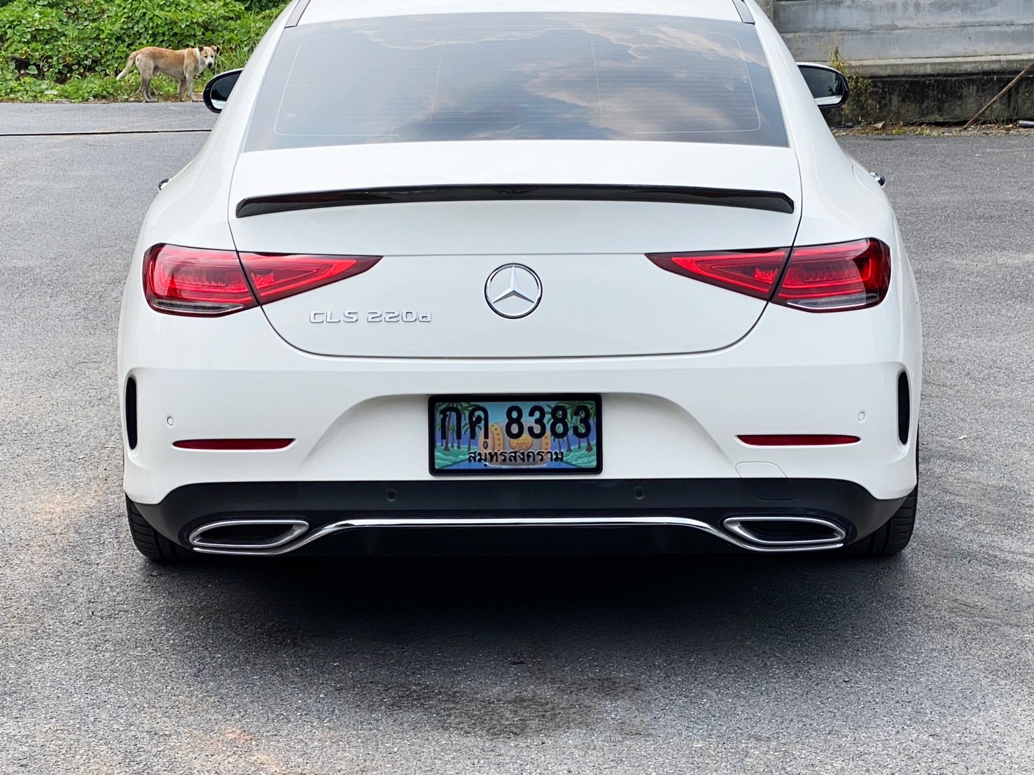 Mercedes-Benz CLS 220d AMG Premium